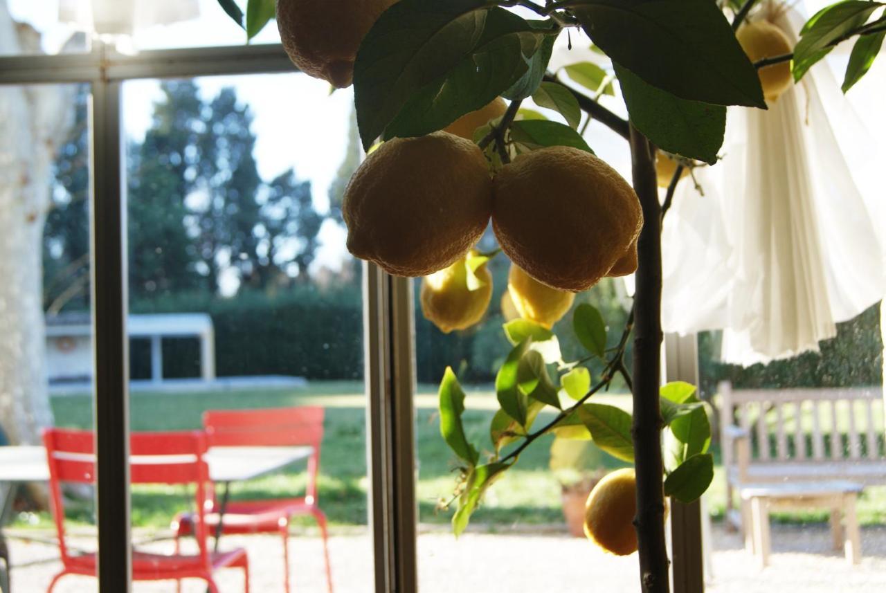 アヴィニョン La Ferme De Gigognan Bed & Breakfast エクステリア 写真